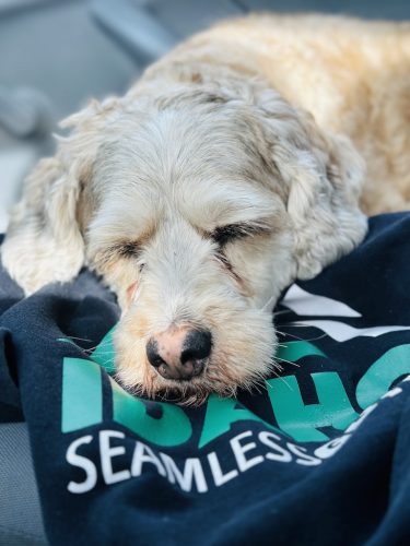 Gutter-Installation-Meridian-ID-155