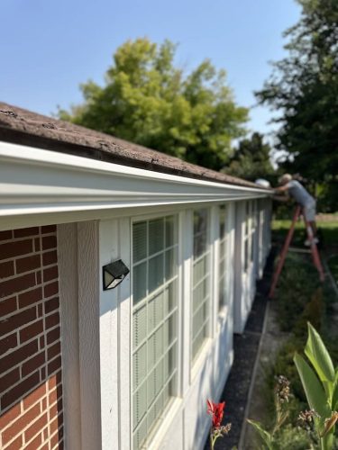 Gutter-Installation-Meridian-ID-239 (1)