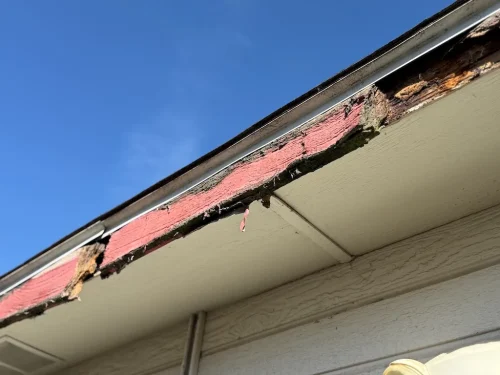 Gutter-Installation-Meridian-ID-5-2-26-004