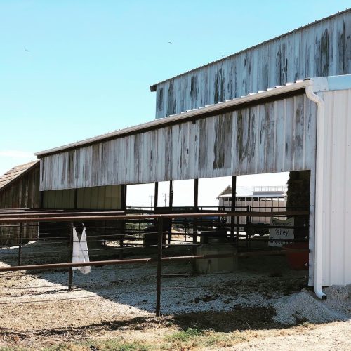 Gutter-Installation-Meridian-ID-67
