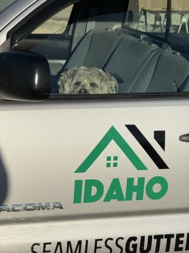 Gutter-Installation-Meridian-ID-6 (1)