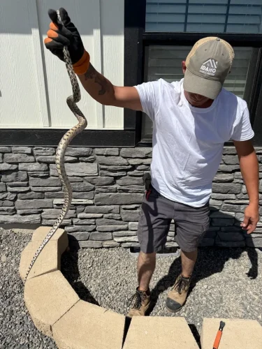 Gutter-Installation-Meridian-ID.-1-9-26-007